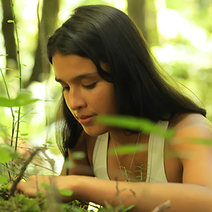 A woman with long dark hair looking down intently at plants in a sunlit forest.